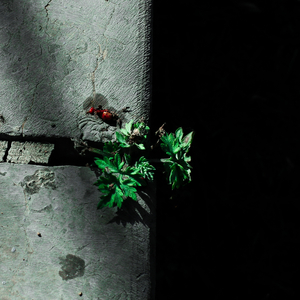 久久亚洲AV无码精品偷窥
