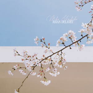 久久亚洲AV无码精品偷窥
